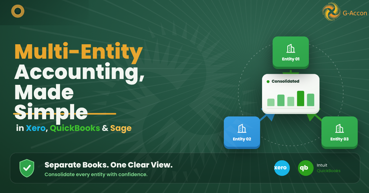 What Is Multi-Entity Accounting